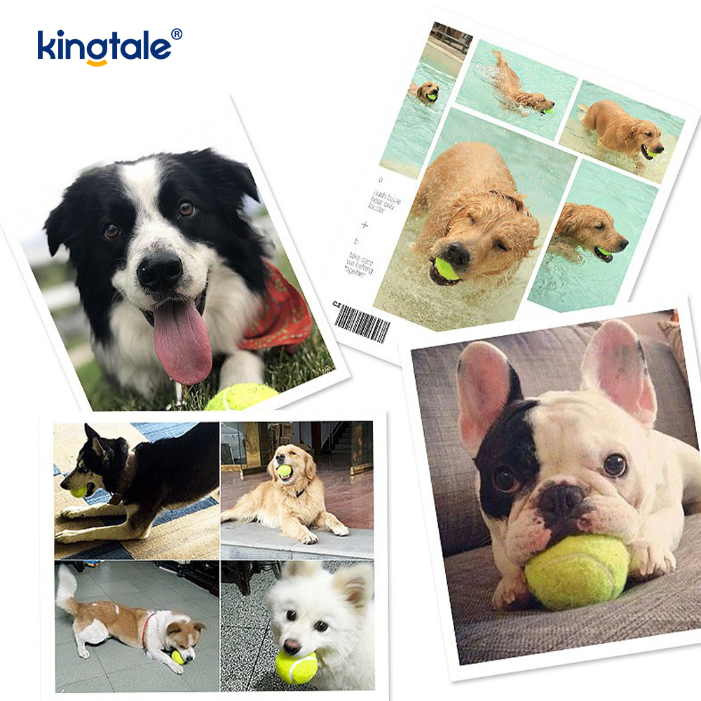 ของเล่นเทนนิสสำหรับสัตว์เลี้ยง ทนทานและทนต่อการกัดสำหรับสัตว์เลี้ยงแบบเคี้ยวออกกำลังกายแบบโต้ตอบ
