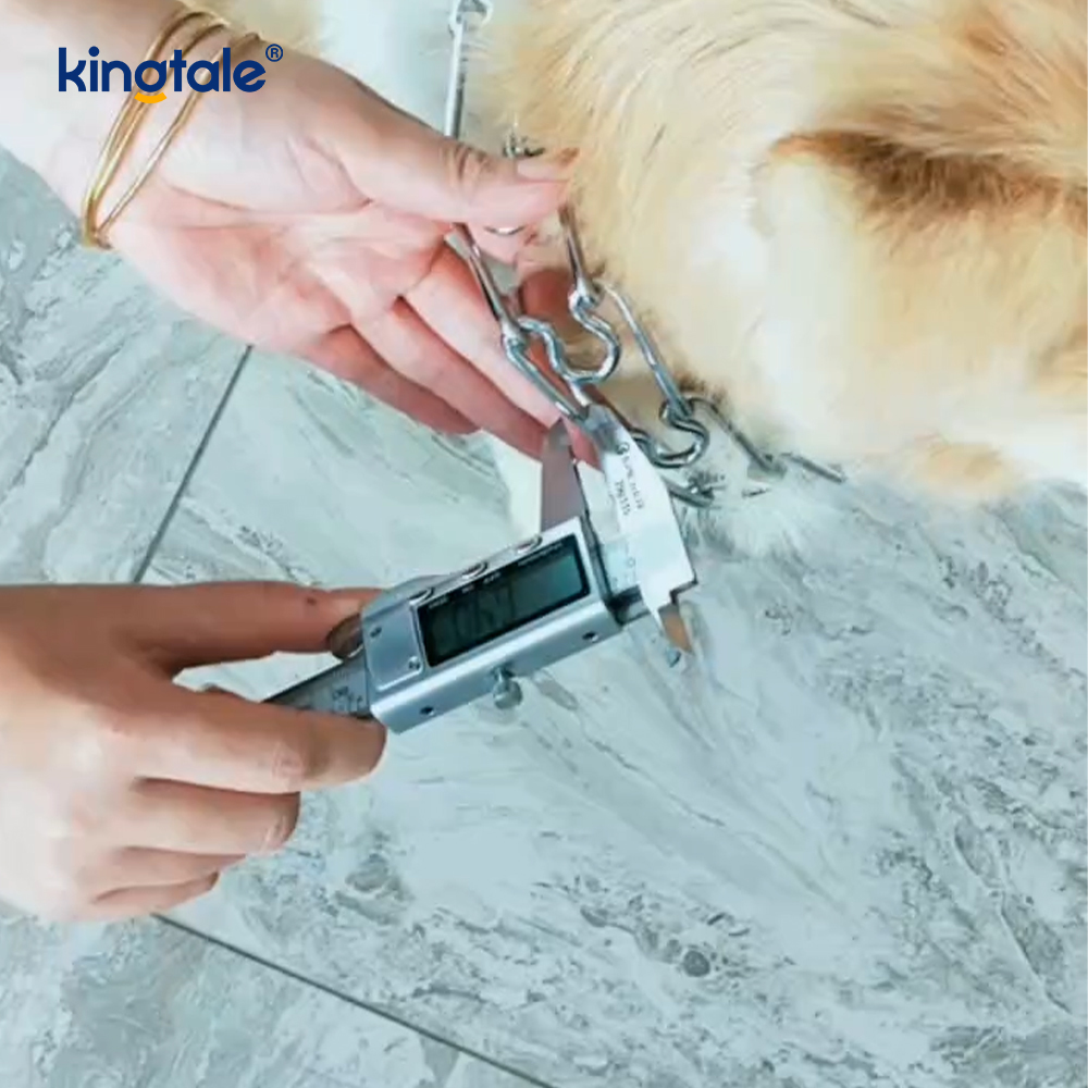 Pet Pinch Choke Collars เหล็กกล้าคาร์บอนโลหะง่ามปลอกคอฝึกสุนัข Pet Pinch Choke Collars เหล็กกล้าคาร์บอนโลหะง่ามปลอกคอฝึกสุนัข