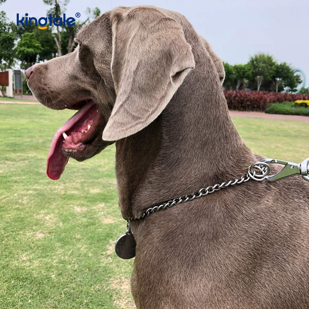 โลหะการฝึกอบรมสุนัข Choke Collar Slip P Chain โซ่หนักสำหรับสุนัข