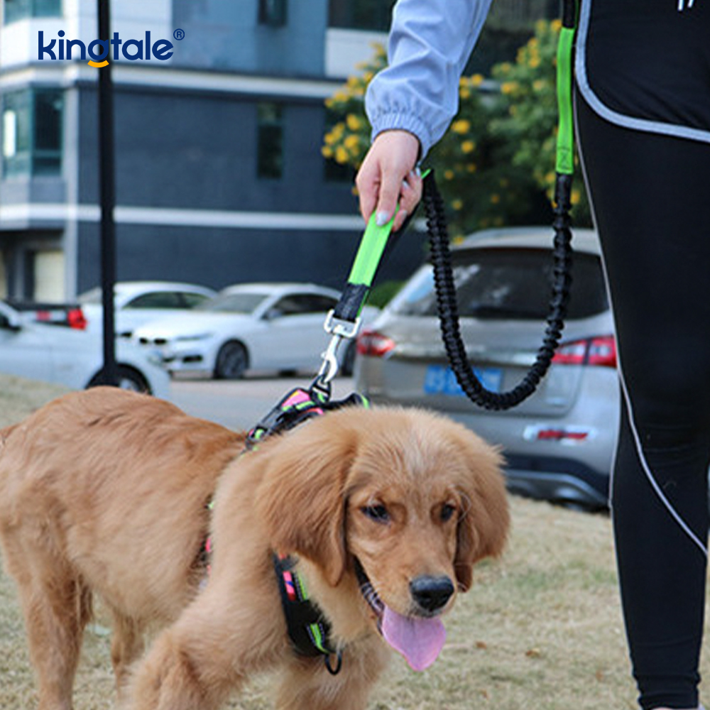 สายจูงสัตว์เลี้ยงวิ่งคู่ยืดหยุ่นสะท้อนแสงพร้อมกระเป๋าซิป สายจูงสัตว์เลี้ยงวิ่งคู่ยืดหยุ่นสะท้อนแสงพร้อมกระเป๋าซิป