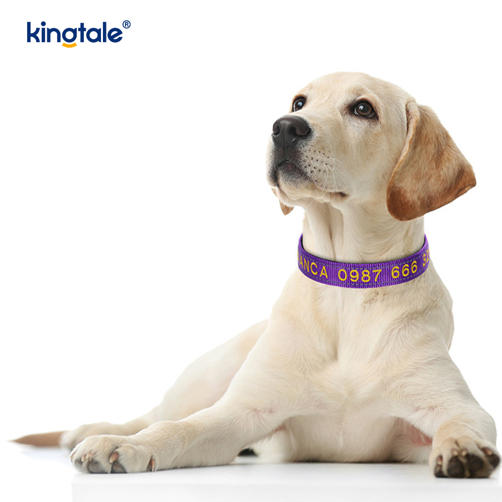 การออกแบบหัวเข็มขัดปลอกคอสุนัขบริการเพื่อป้องกันอุบัติเหตุเตือน