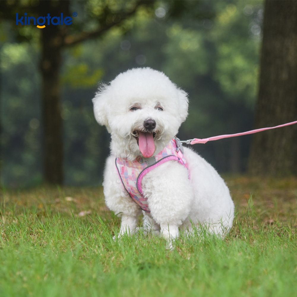 เสื้อกั๊กสไตล์แฟชั่นเบาะสายรัดสัตว์เลี้ยงสุนัขสะท้อนแสง Anti-Shock Leash