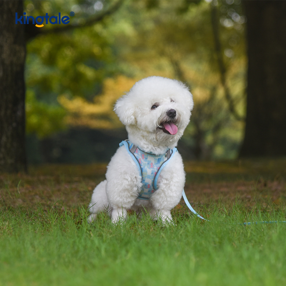 เสื้อกั๊กสไตล์แฟชั่นเบาะสายรัดสัตว์เลี้ยงสุนัขสะท้อนแสง Anti-Shock Leash