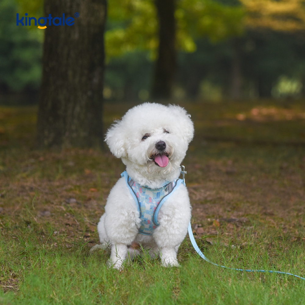 เสื้อกั๊กสไตล์แฟชั่นเบาะสายรัดสัตว์เลี้ยงสุนัขสะท้อนแสง Anti-Shock Leash