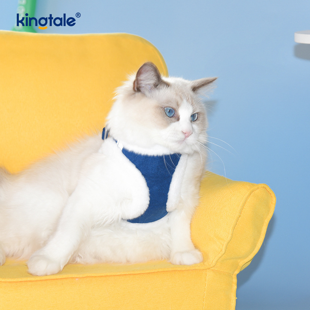 ตุ๊กตาสัตว์เลี้ยงสุนัข Harness Leash ชุดฤดูใบไม้ร่วงเดินสุนัข Harness Vest