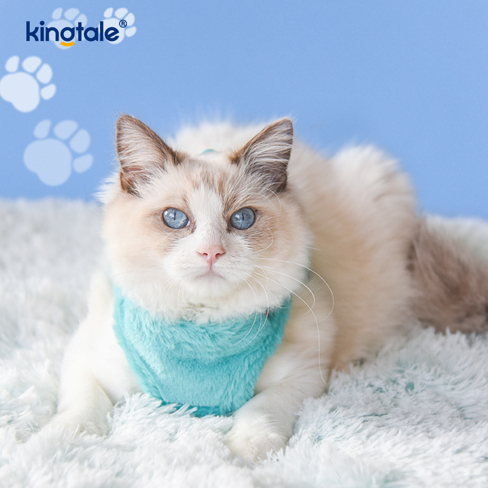 ตุ๊กตาสัตว์เลี้ยงสุนัข Harness Leash ชุดฤดูใบไม้ร่วงเดินสุนัข Harness Vest