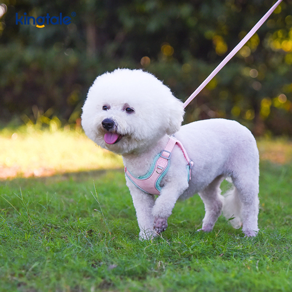 หนังปรับสุนัขสัตว์เลี้ยงขนาดเล็ก Cat Bling Rhinestone Harness & Leash ชุด