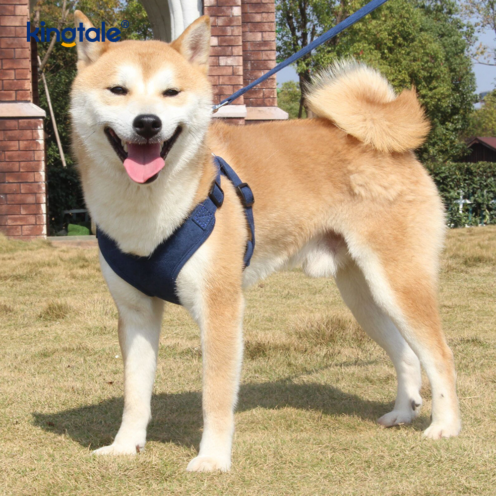 หนังปรับสุนัขสัตว์เลี้ยงขนาดเล็ก Cat Bling Rhinestone Harness & Leash ชุด
