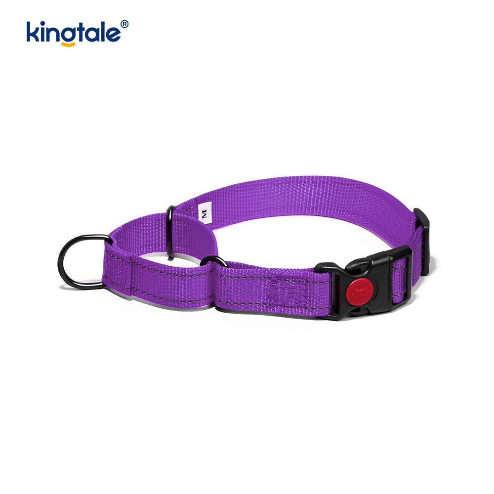 QUICK RELEASE No Pull ปลอกคอไนลอน Martingale แบบปรับได้แบบสะท้อนแสง