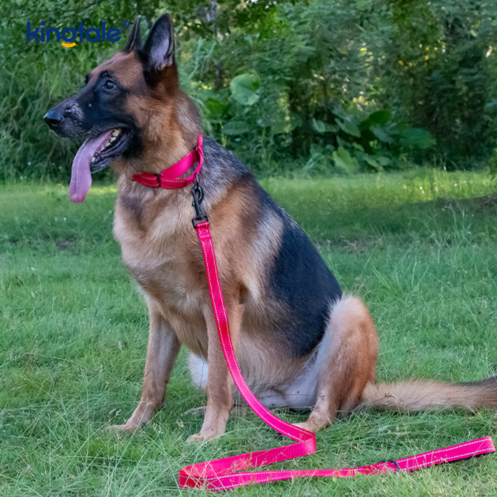 QUICK RELEASE No Pull ปลอกคอไนลอน Martingale แบบปรับได้แบบสะท้อนแสง