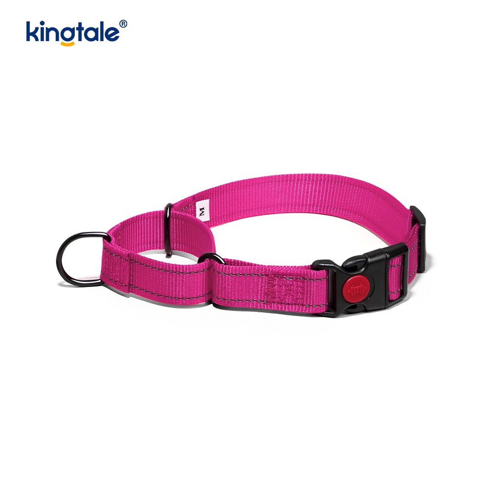 QUICK RELEASE No Pull ปลอกคอไนลอน Martingale แบบปรับได้แบบสะท้อนแสง