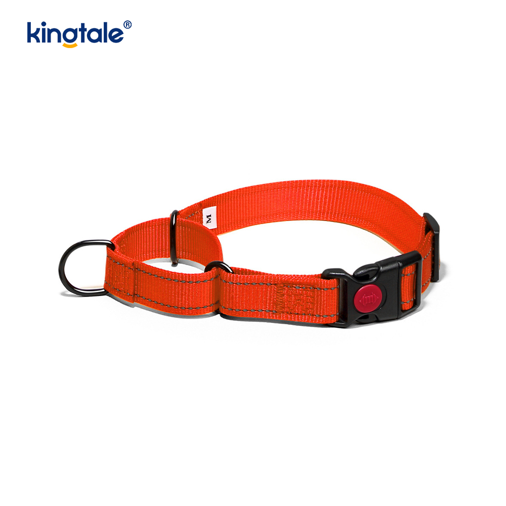 QUICK RELEASE No Pull ปลอกคอไนลอน Martingale แบบปรับได้แบบสะท้อนแสง