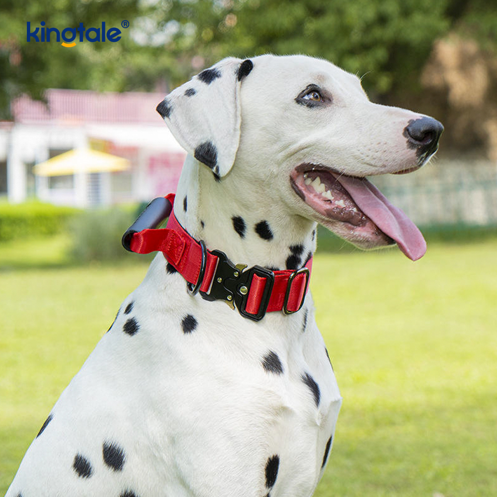 ถัดไปอีกครั้งควบคุม Handle Quick-Release COLLAR