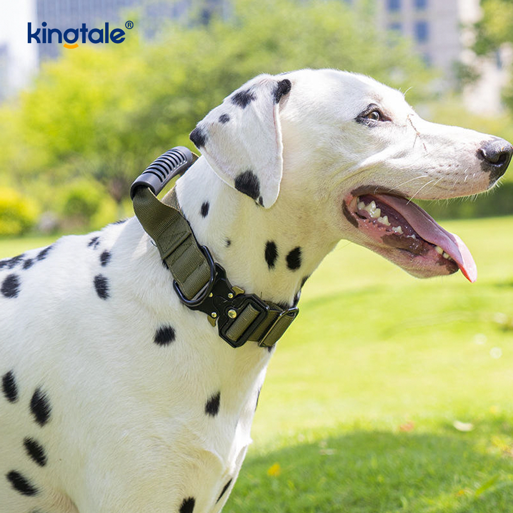 ถัดไปอีกครั้งควบคุม Handle Quick-Release COLLAR