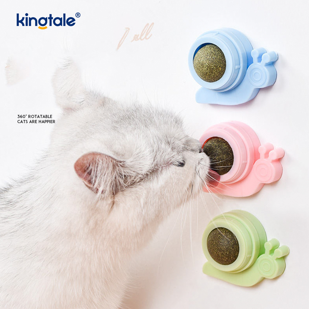 กิจกรรมเล่น Catnip Ball Molars และ Tooth Treat Ball