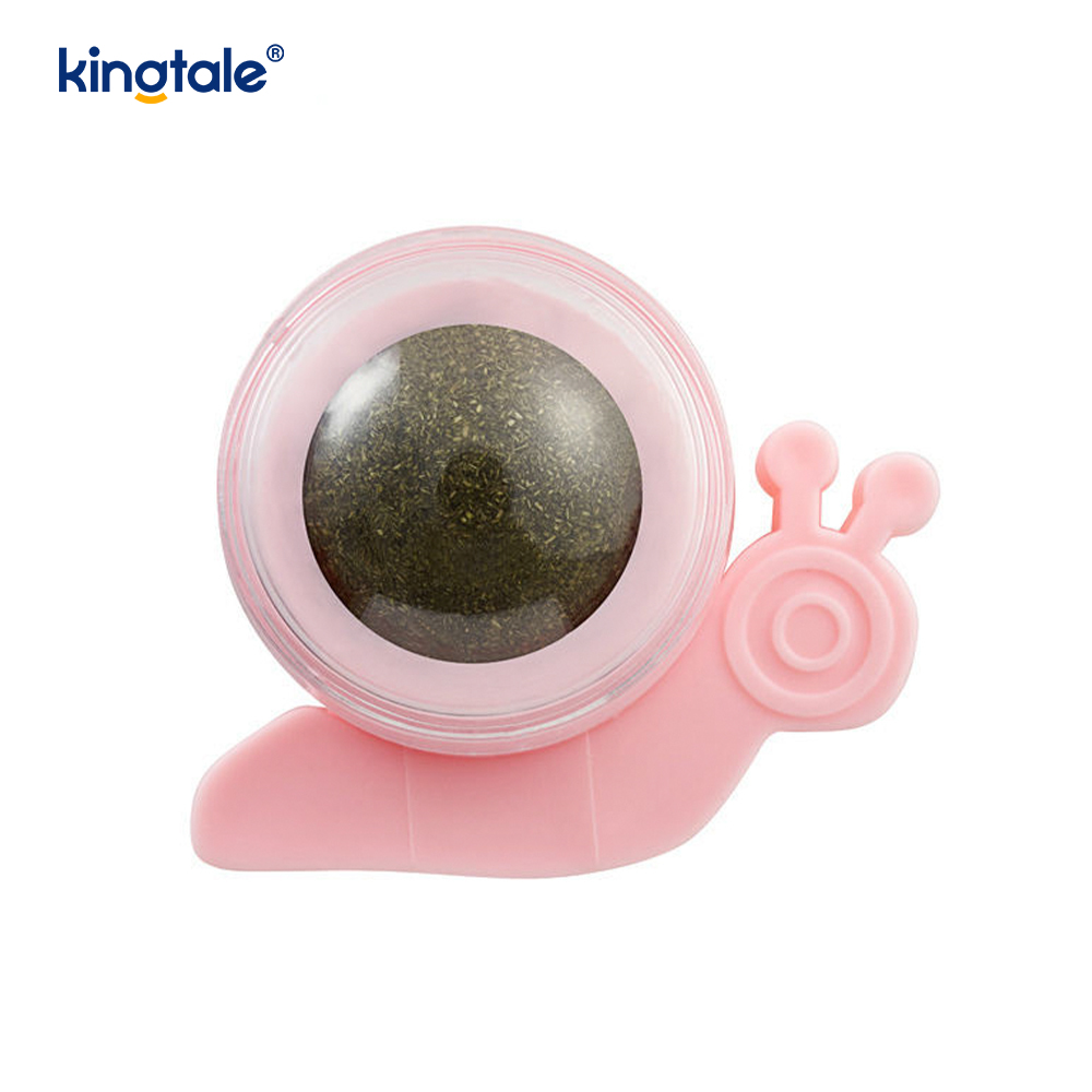กิจกรรมเล่น Catnip Ball Molars และ Tooth Treat Ball