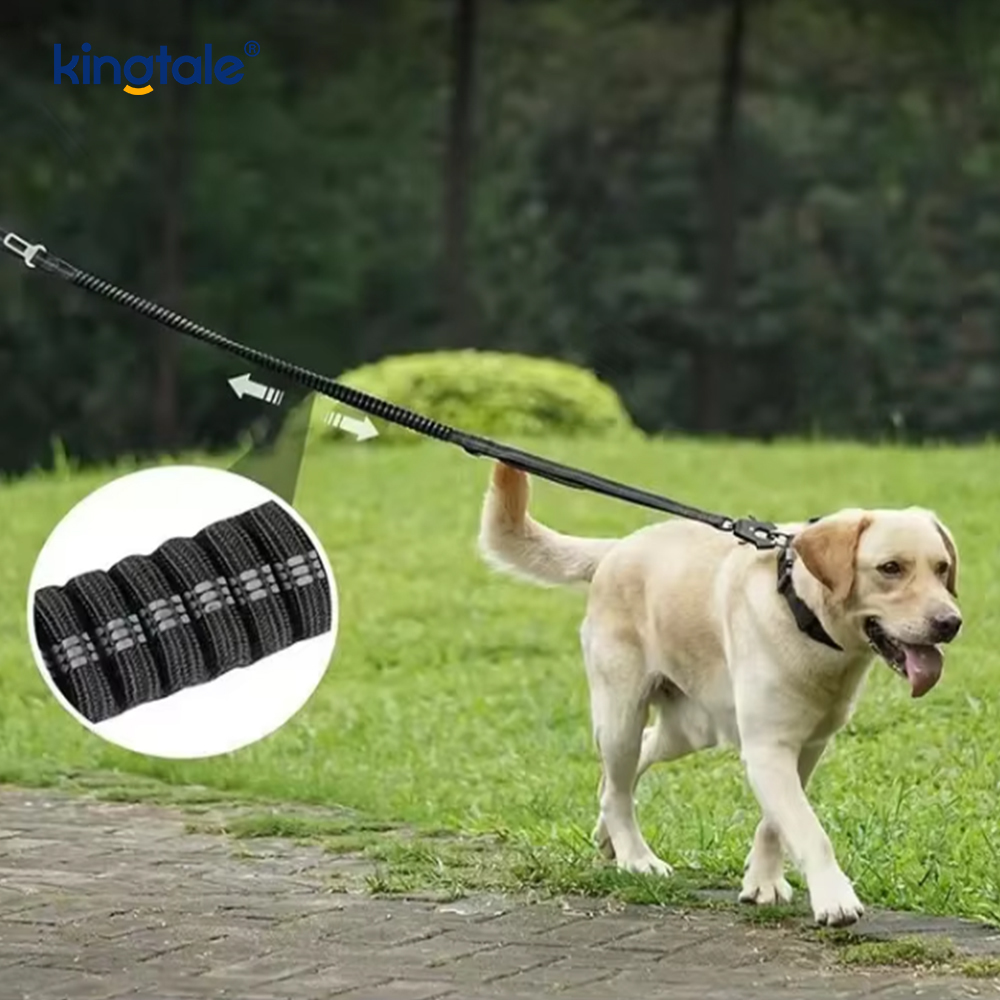 ระบบควบคุมความปลอดภัยแบบ Leash รองรับ Solid Dog Car Seat